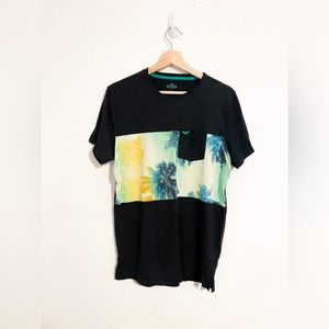 Hollister Graphic Tee Shirt Men’s Medium Beach California Surf Skate Palm Trees